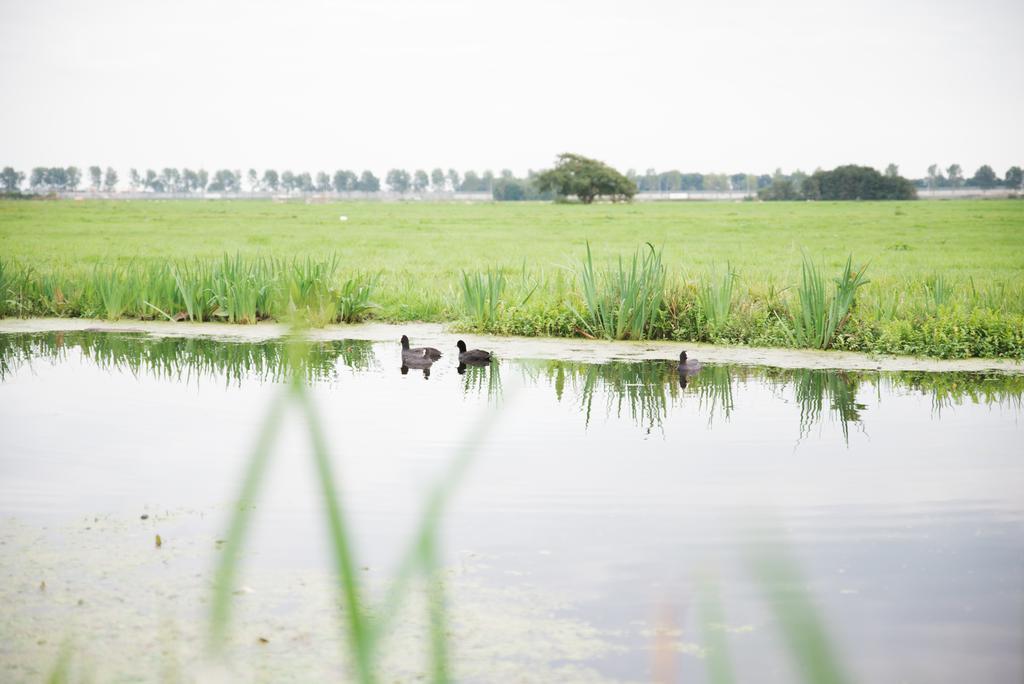 Het Stalhuys